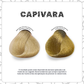 Máscara Pigmentante Capivara Sachê 60g